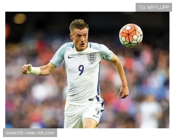 瓦尔迪：潜在买家分析